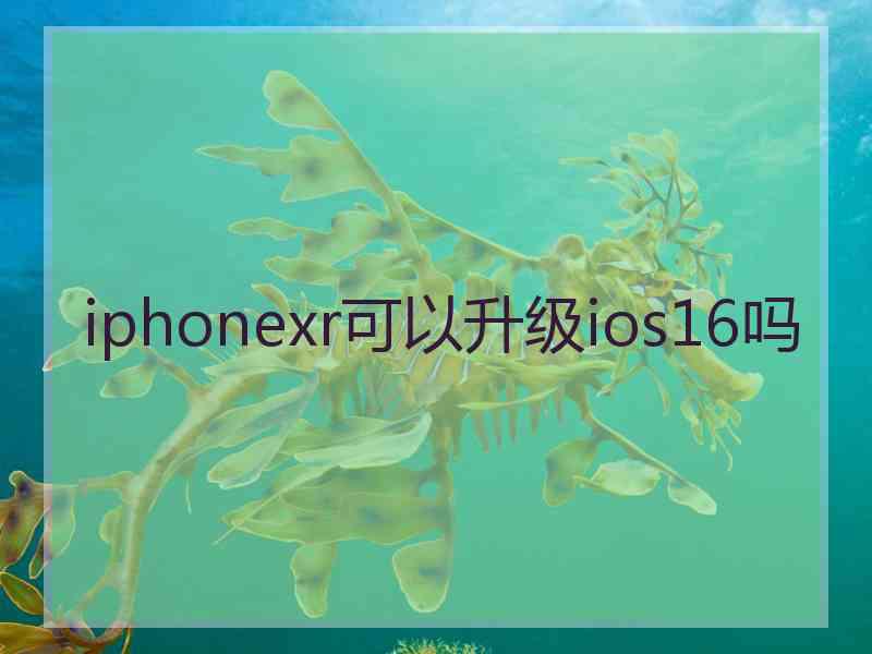 iphonexr可以升级ios16吗