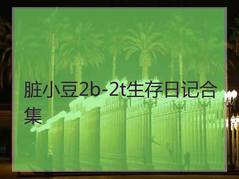 脏小豆2b-2t生存日记合集