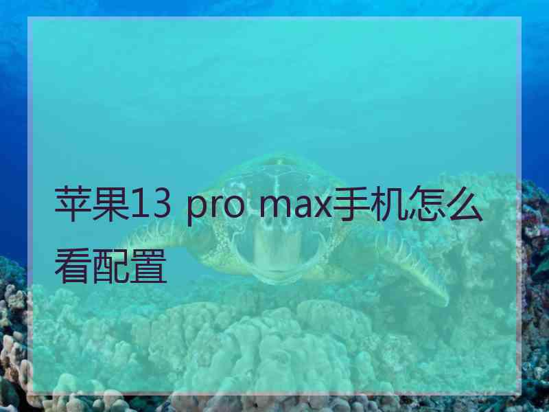 苹果13 pro max手机怎么看配置