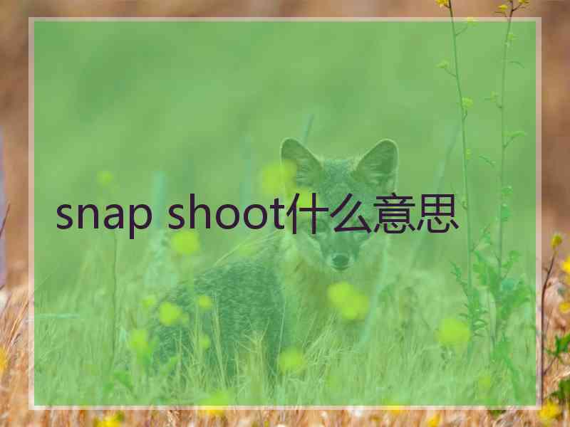 snap shoot什么意思