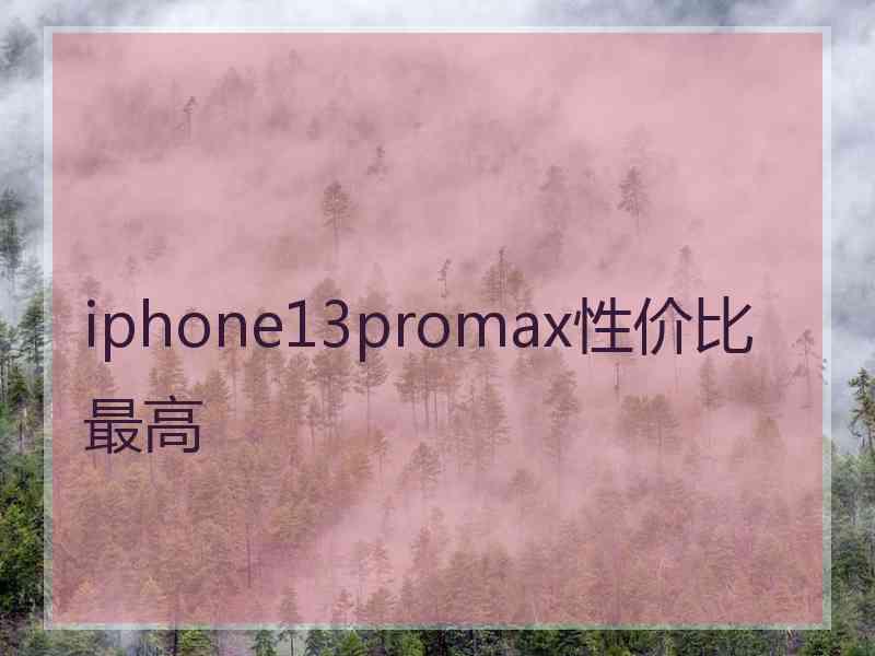 iphone13promax性价比最高