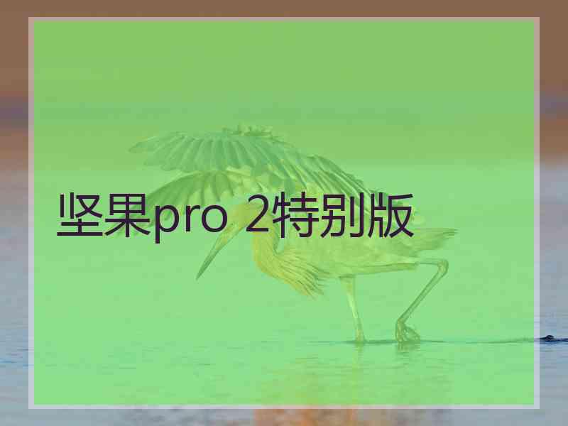 坚果pro 2特别版