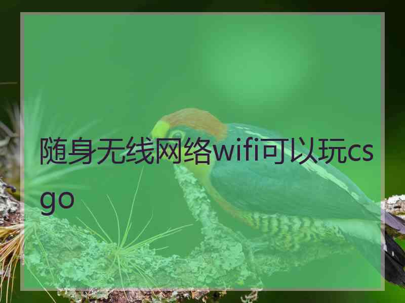 随身无线网络wifi可以玩csgo