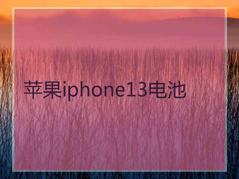 苹果iphone13电池