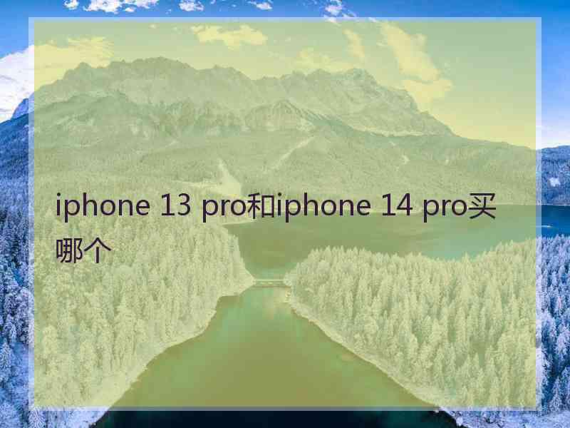 iphone 13 pro和iphone 14 pro买哪个