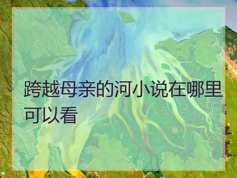 跨越母亲的河小说在哪里可以看