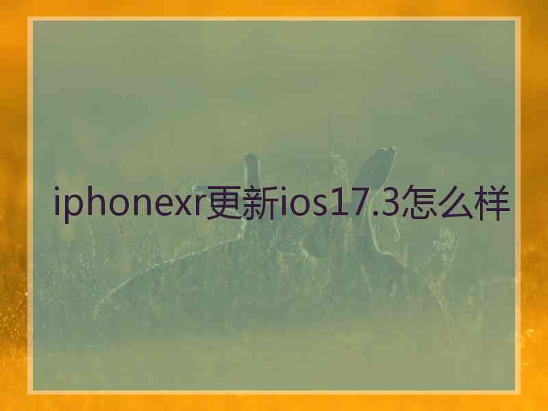 iphonexr更新ios17.3怎么样