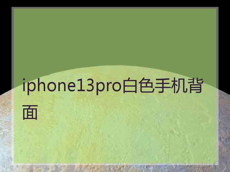 iphone13pro白色手机背面