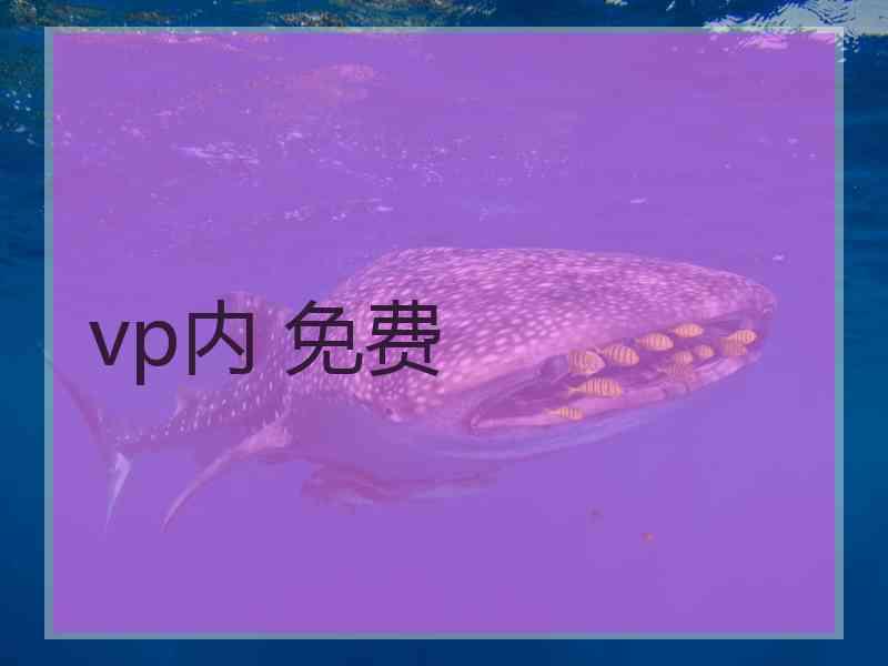 vp内 免费