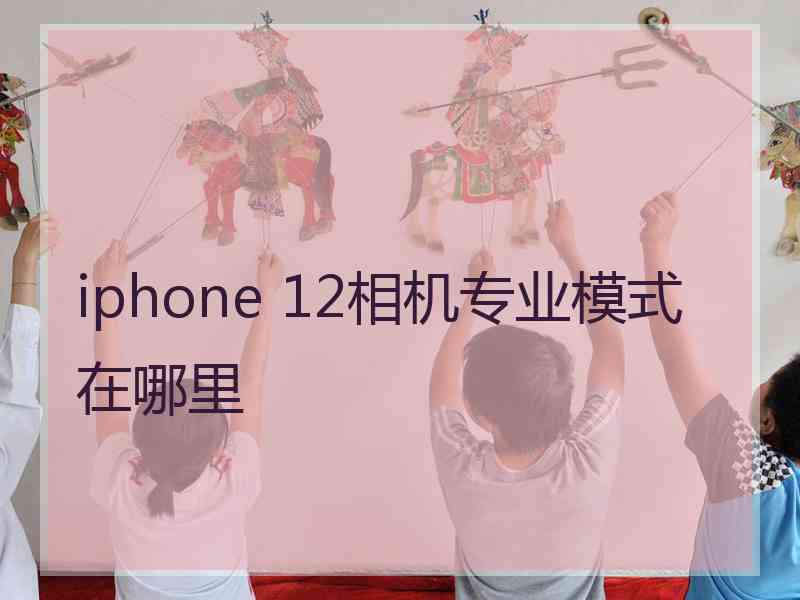 iphone 12相机专业模式在哪里