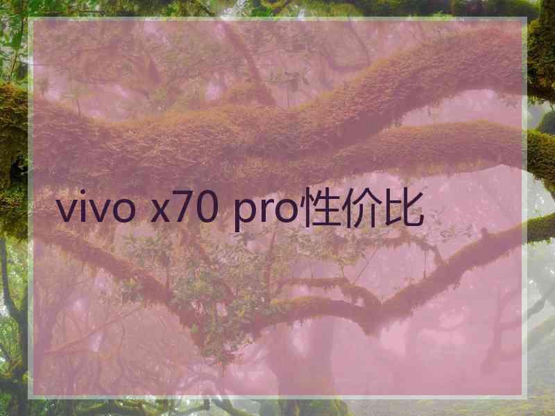 vivo x70 pro性价比