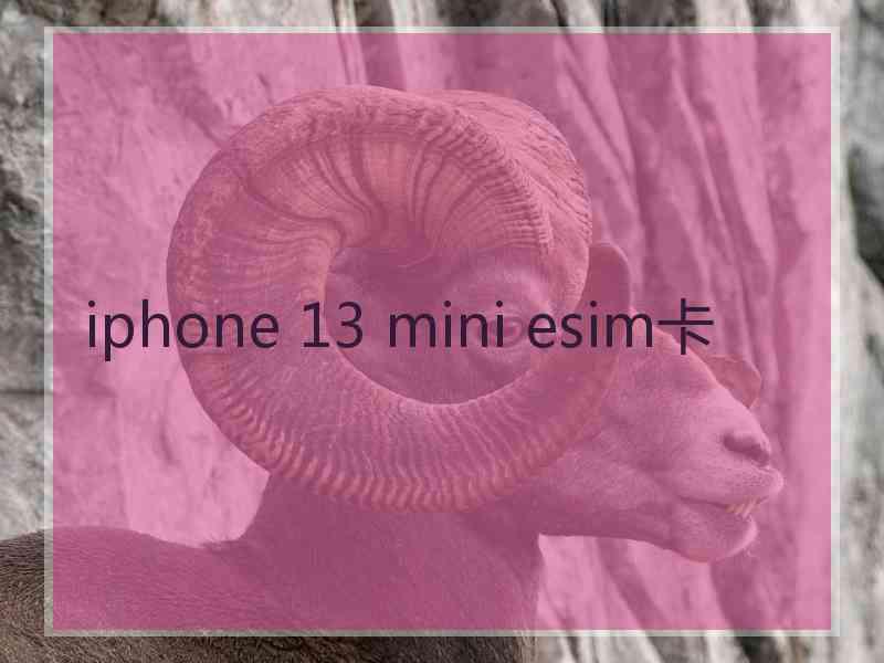 iphone 13 mini esim卡