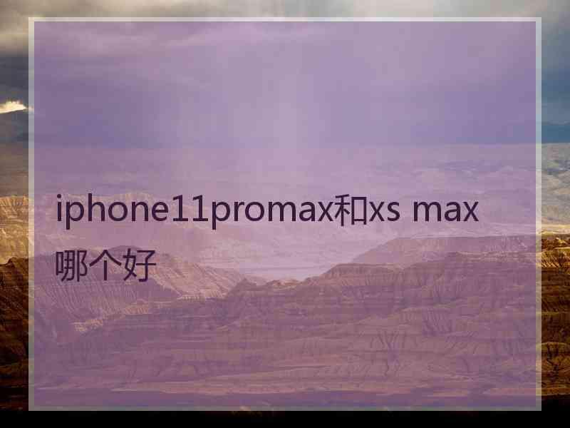 iphone11promax和xs max哪个好