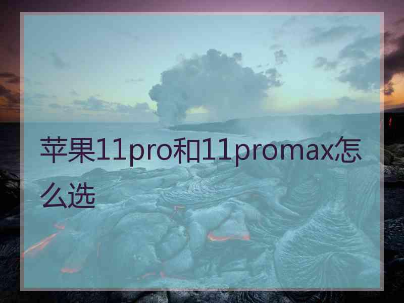 苹果11pro和11promax怎么选