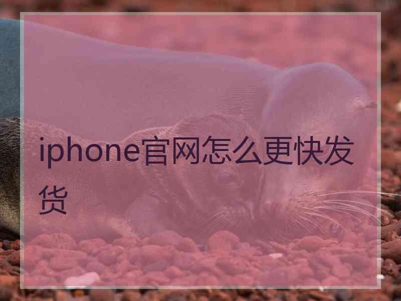 iphone官网怎么更快发货