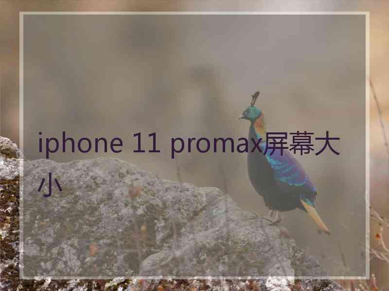 iphone 11 promax屏幕大小