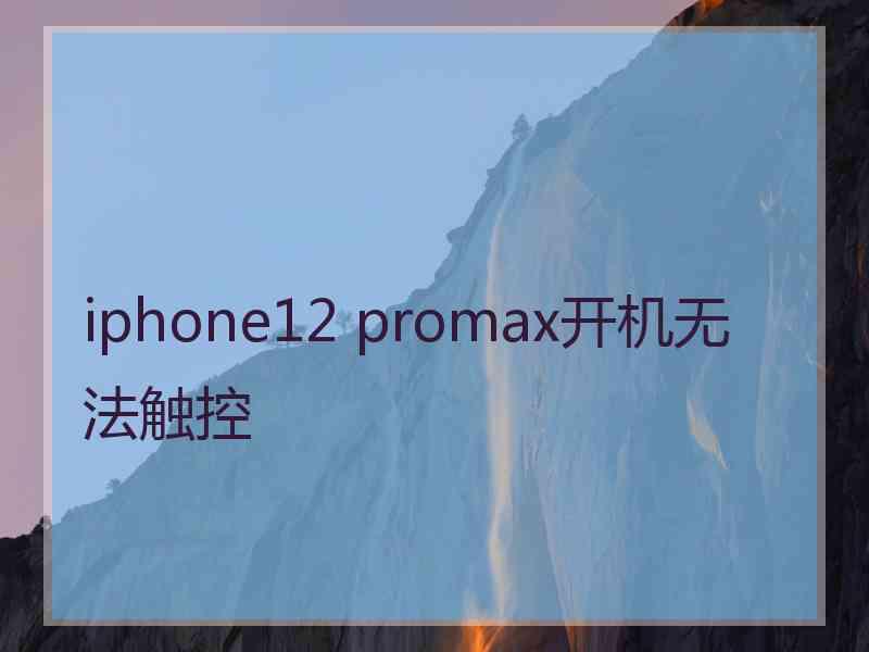 iphone12 promax开机无法触控