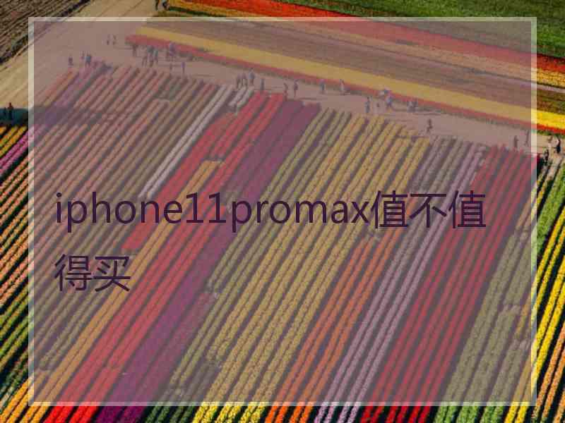 iphone11promax值不值得买