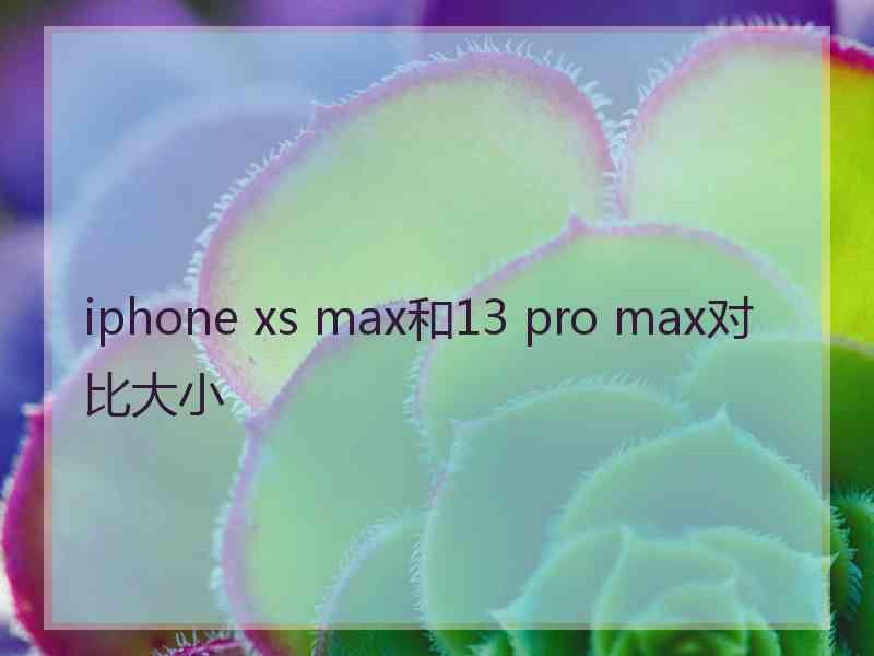 iphone xs max和13 pro max对比大小