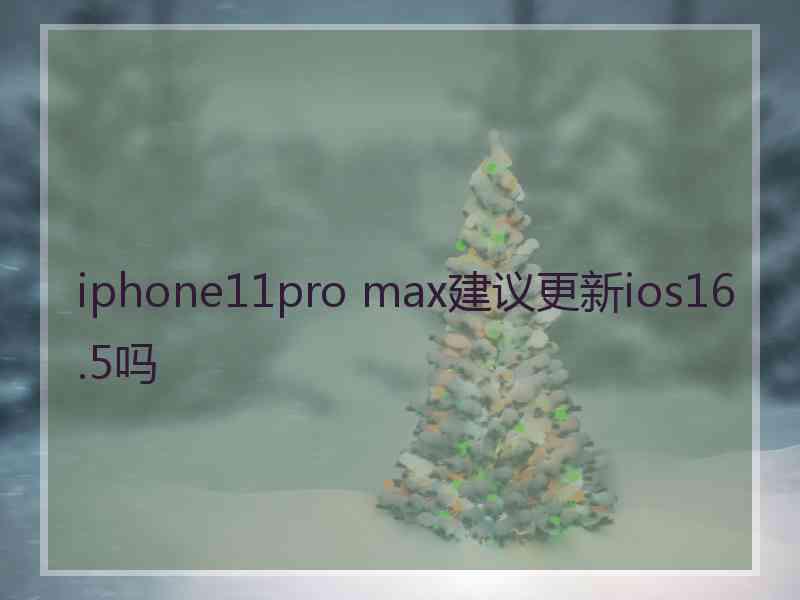 iphone11pro max建议更新ios16.5吗