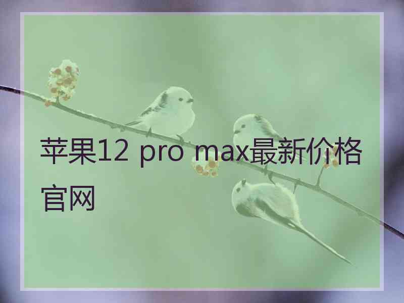 苹果12 pro max最新价格官网