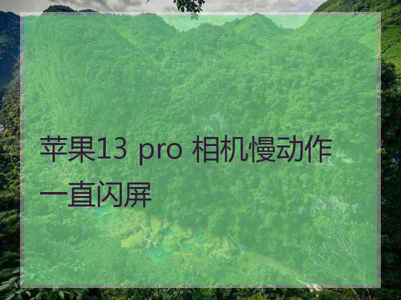 苹果13 pro 相机慢动作一直闪屏