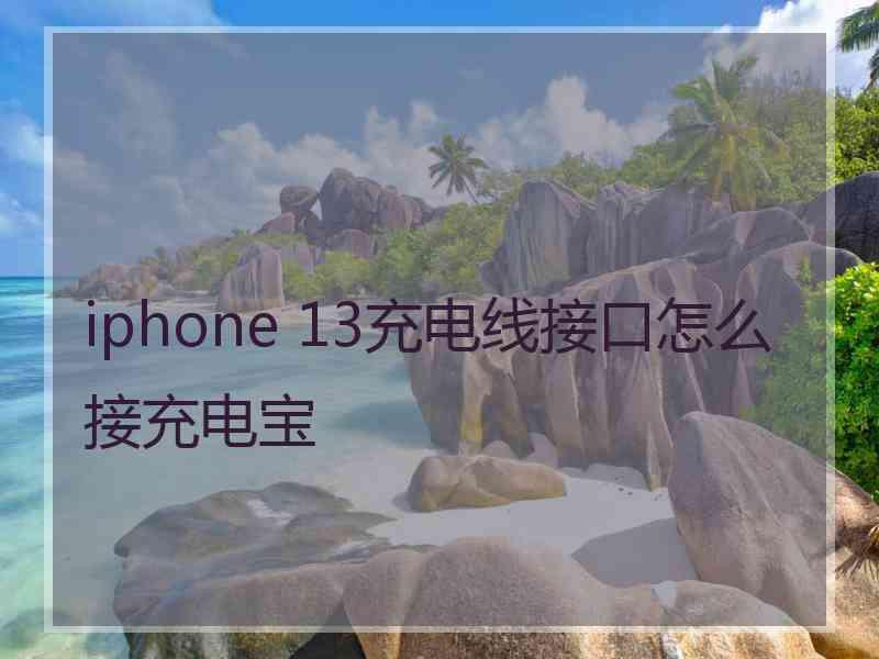 iphone 13充电线接口怎么接充电宝