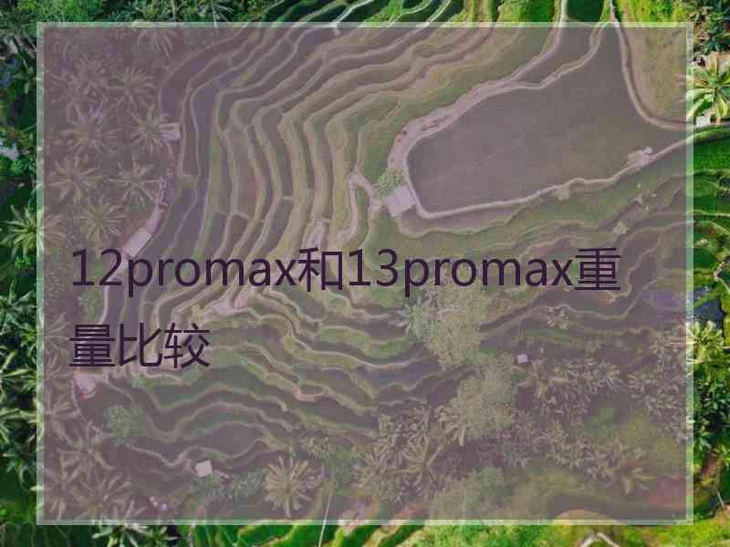 12promax和13promax重量比较