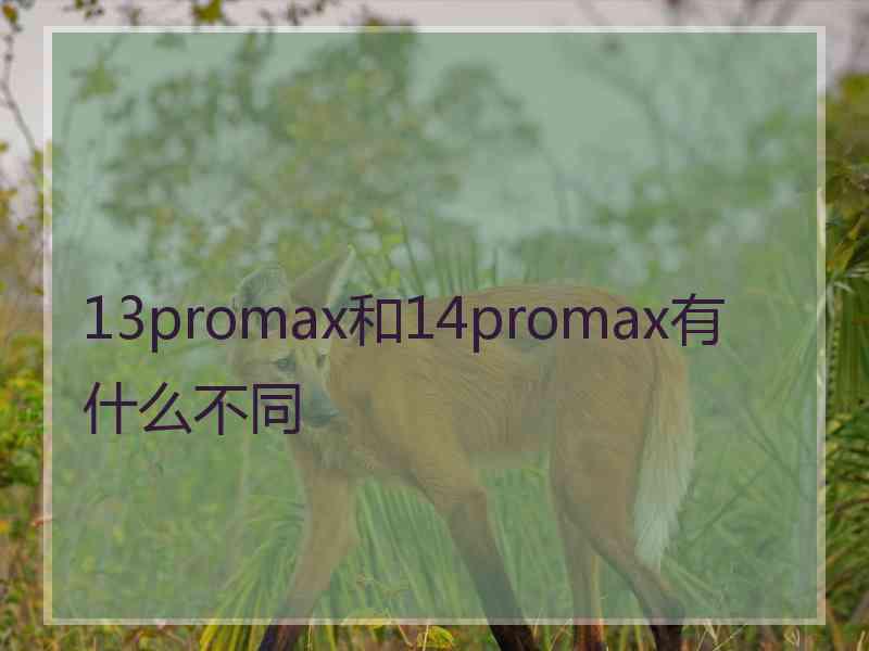 13promax和14promax有什么不同