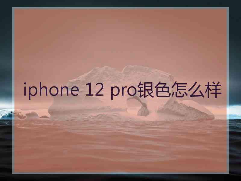 iphone 12 pro银色怎么样