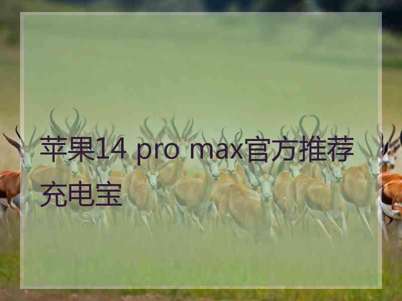 苹果14 pro max官方推荐充电宝