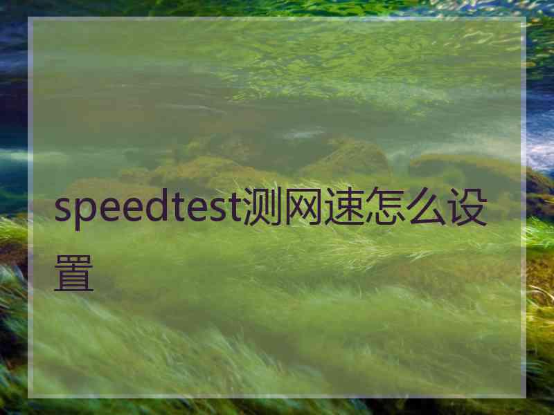 speedtest测网速怎么设置