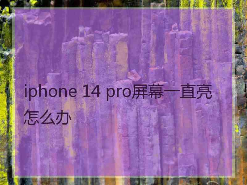 iphone 14 pro屏幕一直亮怎么办