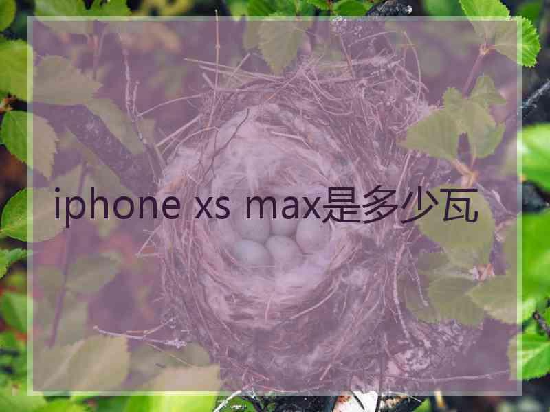 iphone xs max是多少瓦