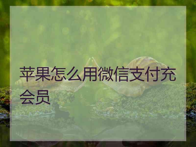 苹果怎么用微信支付充会员