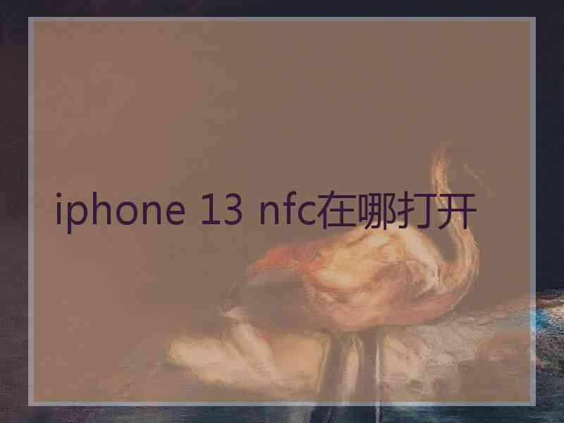 iphone 13 nfc在哪打开