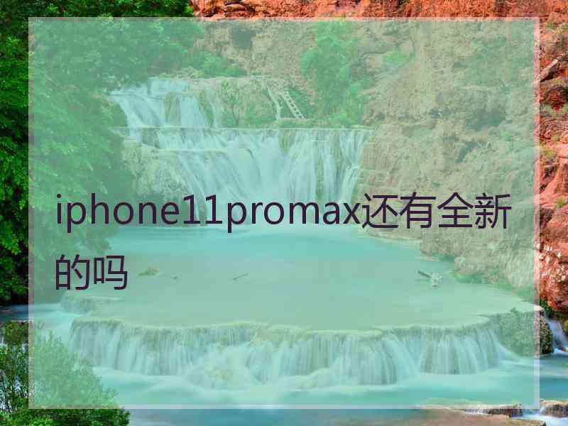 iphone11promax还有全新的吗