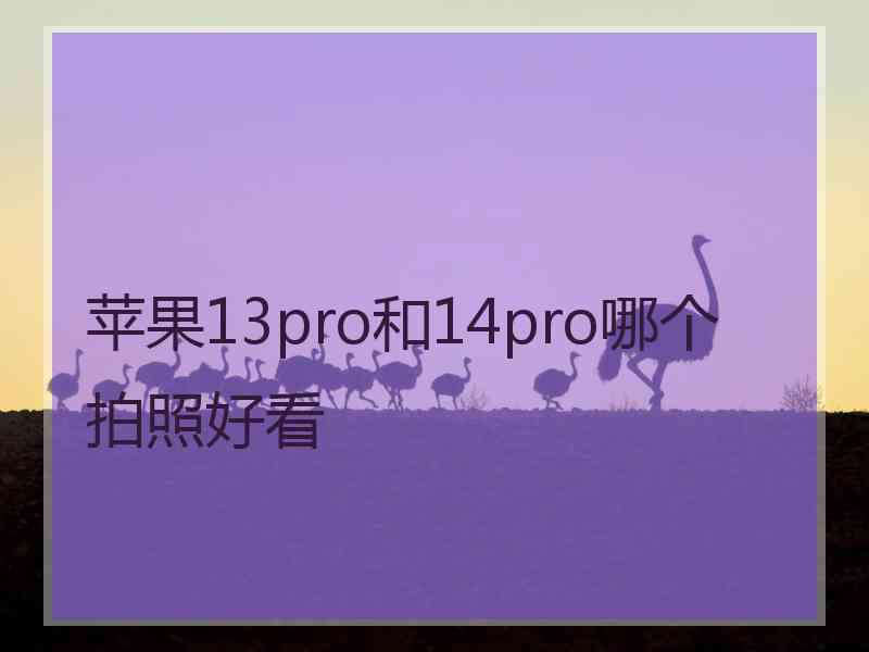 苹果13pro和14pro哪个拍照好看