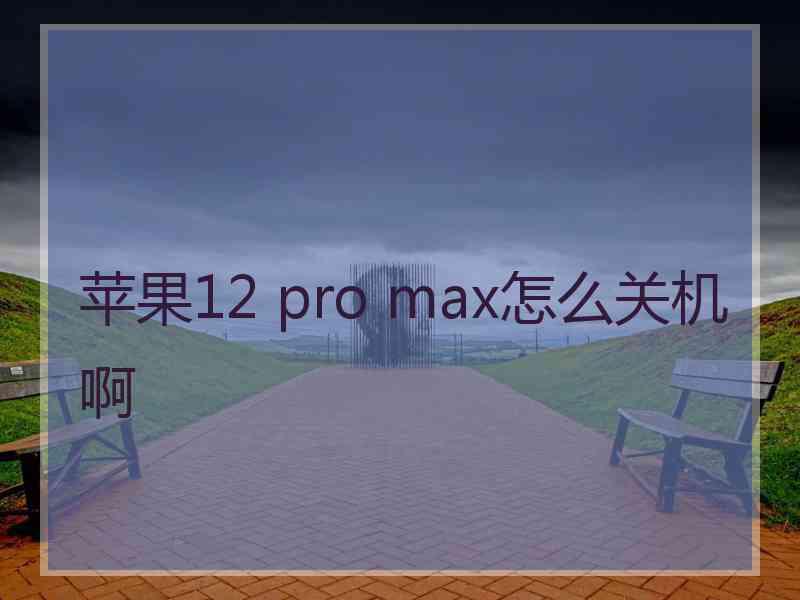 苹果12 pro max怎么关机啊