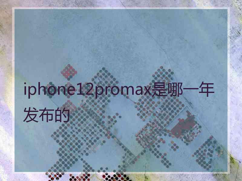 iphone12promax是哪一年发布的