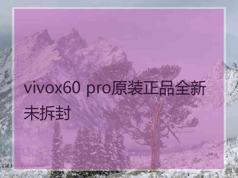 vivox60 pro原装正品全新未拆封