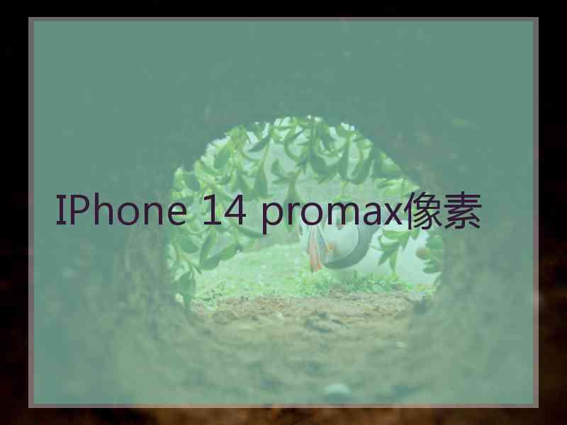 IPhone 14 promax像素