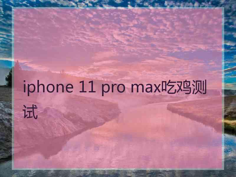 iphone 11 pro max吃鸡测试