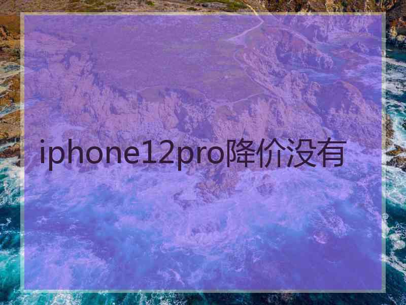 iphone12pro降价没有