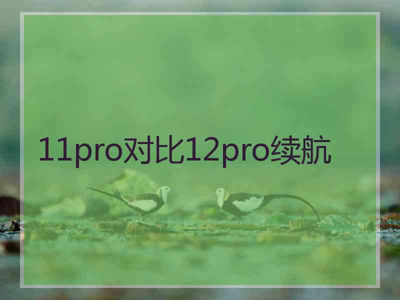 11pro对比12pro续航