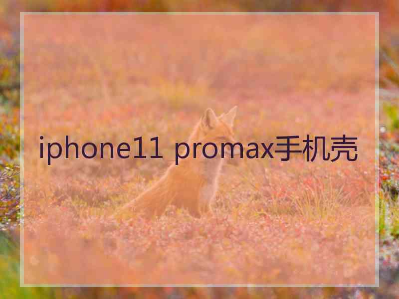 iphone11 promax手机壳