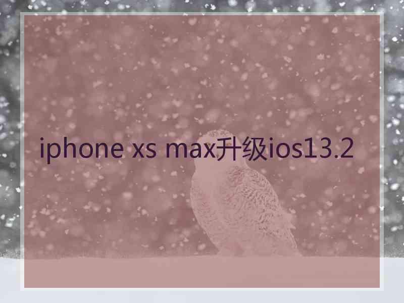 iphone xs max升级ios13.2