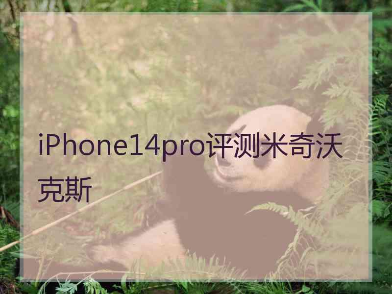 iPhone14pro评测米奇沃克斯