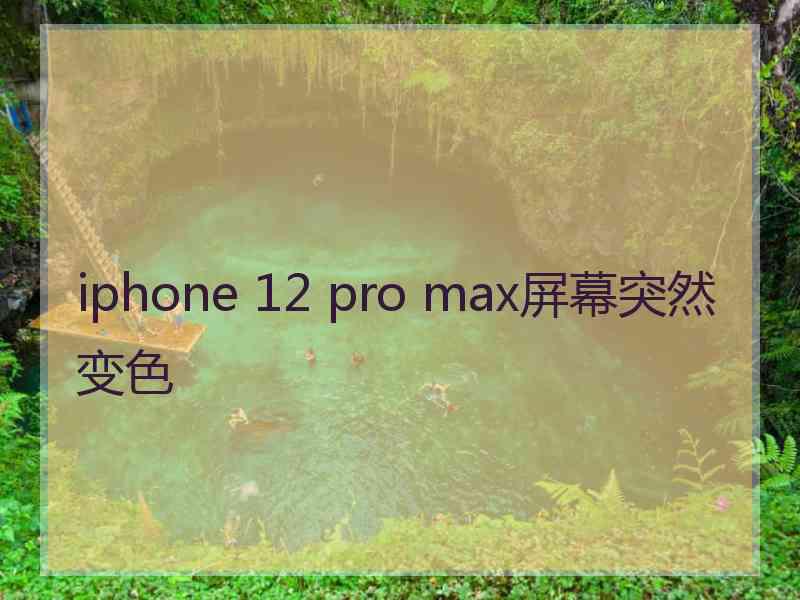 iphone 12 pro max屏幕突然变色