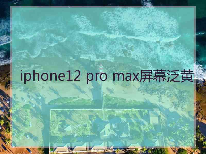 iphone12 pro max屏幕泛黄